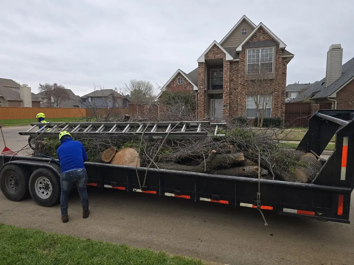 Expert Tree Removal with proper safety equipment in Fort Stanton